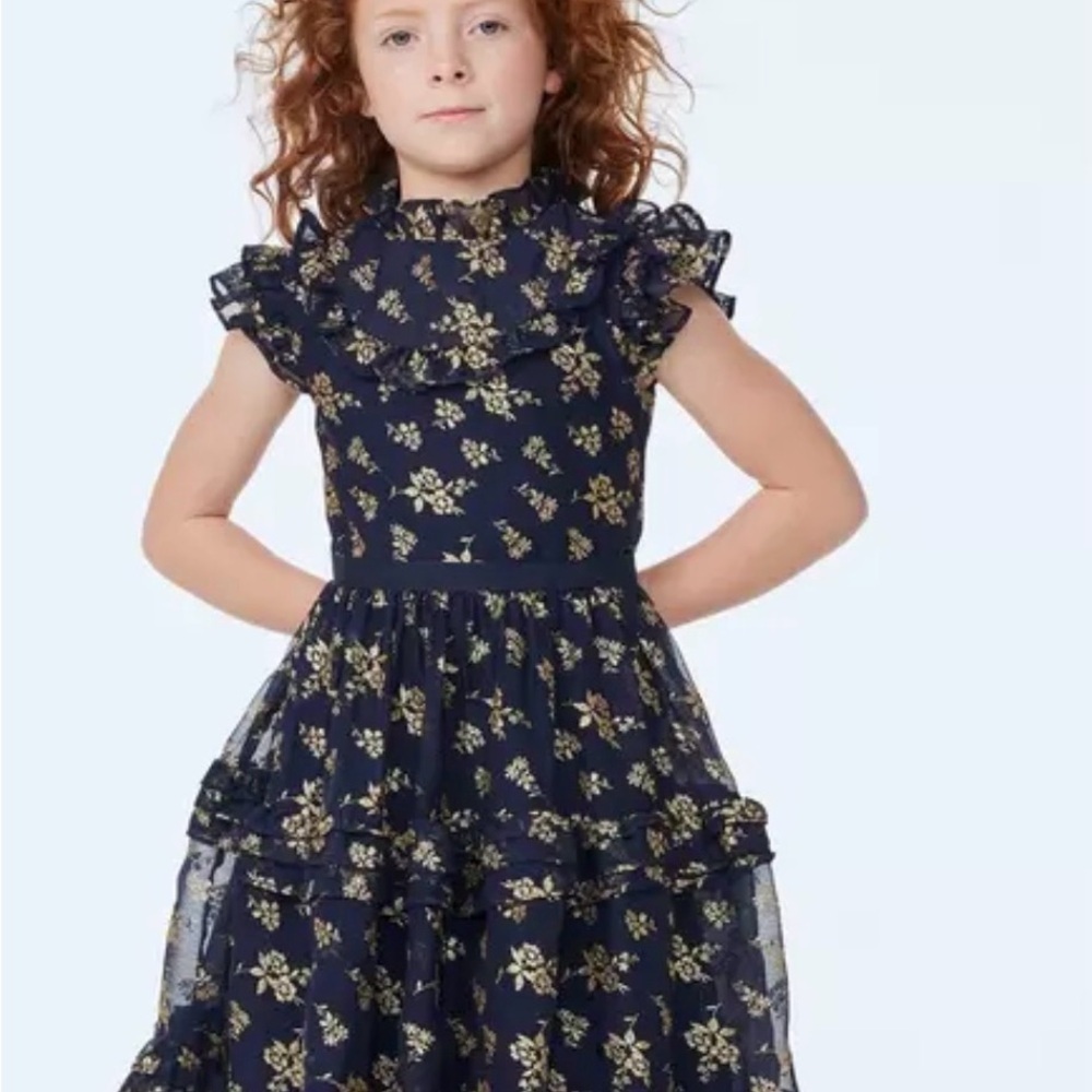 Janie and Jack Toddler Girl Sparkle Holiday Dress Dark Marine Floral Size 3